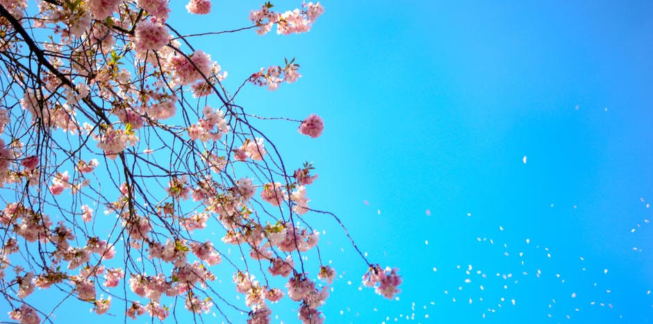 Spring